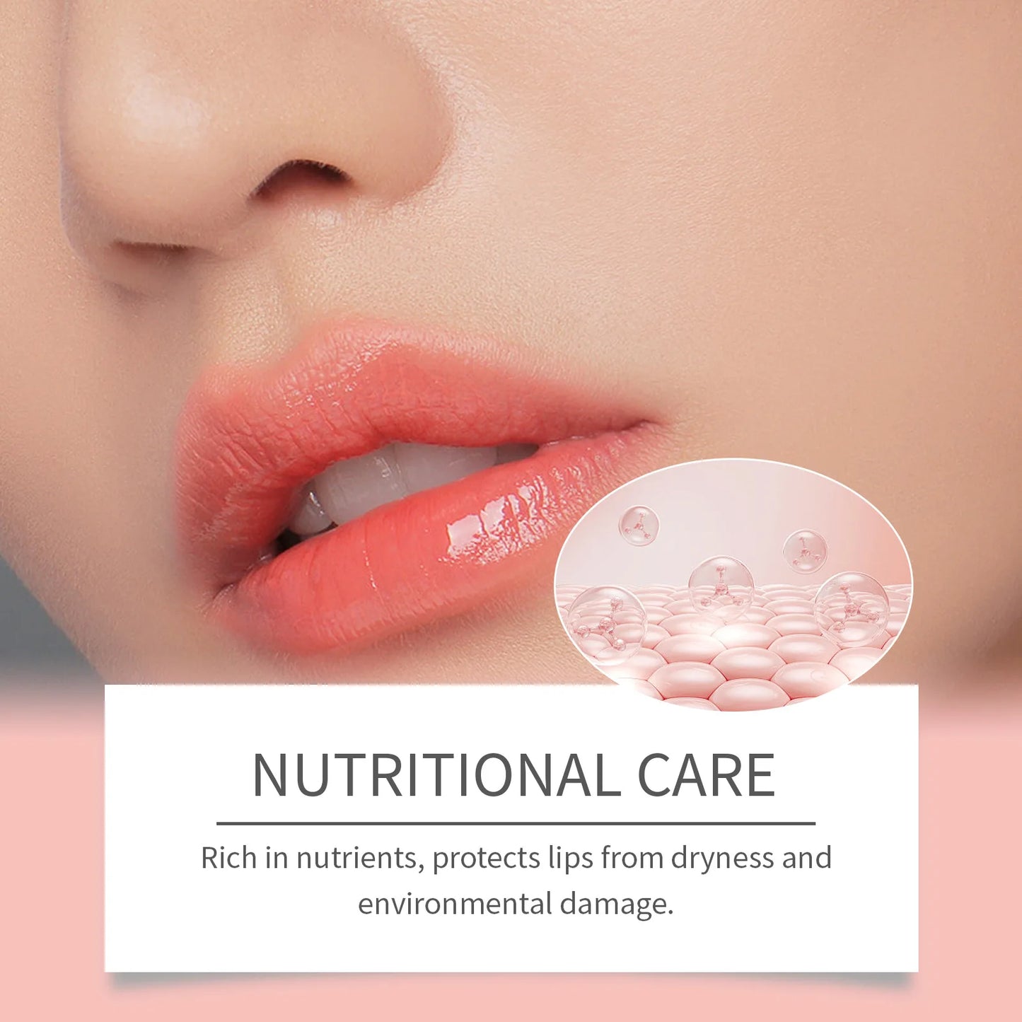 Organic Natural Fruit Lip Balm Moisturize Nourishing Long Lasting Hydrating Refreshing Sweet Tast Lipstick Plant Organic Care Cosmetics